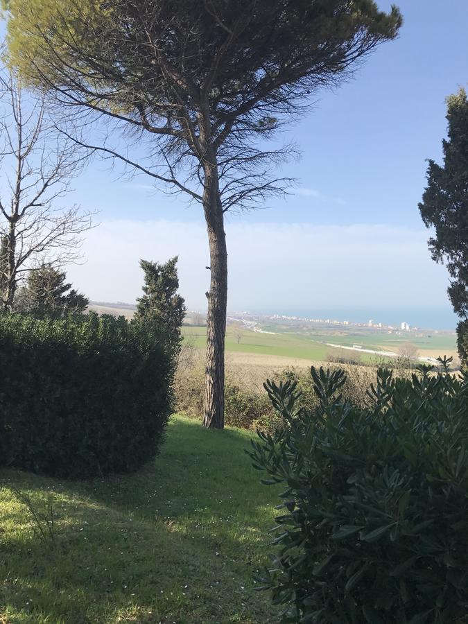 Bed and Breakfast Nonna Bon Bon Senigallia Exterior foto