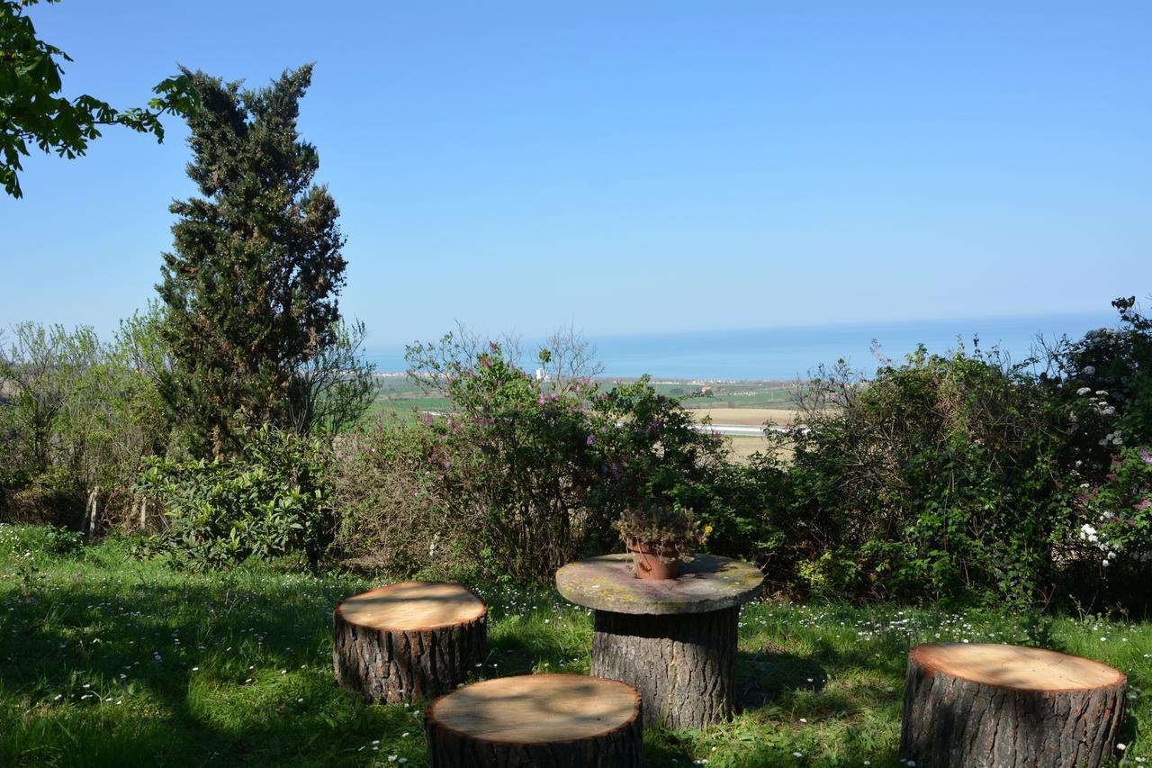 Bed and Breakfast Nonna Bon Bon Senigallia Exterior foto